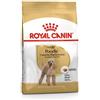 *Royal Canin Rc Mini Poodle 30 1,5Kg Barboncino Minsan 912475718