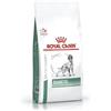 *Royal Canin Diet Diabetic Dog 1,5Kg Minsan 933305068
