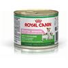 *Royal Canin Rc Starter Mousse Um 195Gr Cane Minsan 931068896
