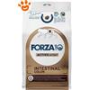 Forza10 Cat Active VetDiet Intestinal Colon - Sacco Da 1,5 Kg