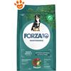 Forza10 Dog Maintenance Maxi Adult Cervo e Patate - Sacco Da 12 Kg