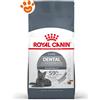 Royal Canin Cat Dental Care - Sacco Da 1,5 Kg