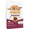 IAMS Advanced Nutrition Sensitive Digestion con Tacchino Crocchette gatto - 10 kg