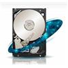 SEAGATE - Hard Disk interno Enterprise Constellation ES HDD 1 TB 3.5 Interfaccia SCSI (SAS) 6 Gb / s Buffer 64 MB 7200 Rpm