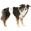 TRIXIE PANNOLINI A FASCIA PER CANI MASCHI XS TRIXIE 12 PZ offerta