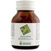 Boswellia Arcangea Boswellia 60 Capsule pz