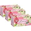 Pompadour, Infuso Biancospino, 60 filtri (3 Confezioni da 20 Filtri), Distensivo e Rilassante, Ideale per la Sera, 100% Naturale, Senza Lattosio, Glutine e Allergeni, Vegan