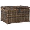 happimess HPM9001B Caden, tronco in vimini da 76cm per casa, camera da letto, soggiorno, corridoio, marrone