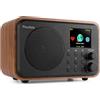 Audizio Vicenza radio Internet WLAN con Bluetooth 5.0, DAB Radio Batteria 10H, Line-Out, radio FM con telecomando, cavo di ricarica USB-C - DAB Plus Radio in nero-marrone