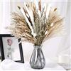 is Tycons 85 PezziErba della Pmapas Fiori Secchi Decorativi Naturali Decorativi Pampas Secca Bouquet Fiori Essiccati per Interno Pampas Grass Fiori Secchi per Home Decor Wedding Boho Decor
