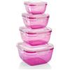 Grizzly Contenitore per Alimenti con Coperchio - Quadrato - Set da 4 - Ermetico - Anti Perdite - senza BPA