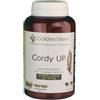 GOLDEN WAVE Srl CORDY UP 90MAXI CPS