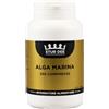 AESSERE Srl ALGA MARINA 250TAV STUR DEE