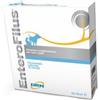 DRN Enterofilus 12 Fiale 10 ml Per Cani e Gatti