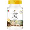 WARNKE VITALSTOFFE PEA 400mg - con 400mg di palmitoiletanolamide per capsula - 100 capsule - qualità farmaceutica tedesca - ad alto dosaggio - vegan | Warnke Vitalstoffe - Qualità da farmacia tedesca