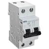 AEG ELETTRA Magnetoterm.Automat. 1P+N C 25A 4,5kA 2M - DG41NC25