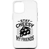 Cheesemaking Cheesemaker Gifts Custodia per iPhone 15 Stay Cheesy My Friends Caseificio Cheesemaker Fromager