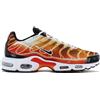 Nike air max plus TN Og - light Fotografia - DZ3531-600 Uomo Sneaker Scarpe