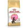 ROYAL CANIN ITALIA SPA Feline Breed Nutrition Maine Coon Kitten 2 Kg