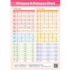 YAMAMUROLLC Japanese Hiragana Katakana and Useful Words For Daily Life Chart
