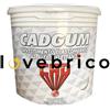 Cad Gum 5 kg bianco Guaina liquida ad alta riflettanza per impermeabilizzazioni