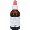 Sangalli Agnocasto Frutti Tintura Madre 100 Ml ml Soluzione