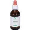 Rosmarino Macerato Glicerico 100 Ml ml Soluzione orale