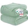 WAVVE Plaid Coperta Pile di Flanella 260gsm - 220x240 cm, Verde Chiaro - Pled Divano Pelosa Letto Matrimoniale King 240x220 - Copridivano di Microfibra Calda e Morbida