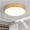 Schindora Oro Plafoniera LED Dimmerabile Ø40Cm - Lampada Circolare in Metallo 30W Con Controllo Per Cucina, Cameretta, Soggiorno