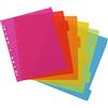 VIQUEL Set di 6 divisori in polipro A4 maxi. Colori fluo multicolori