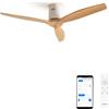 CREATE / WINDCALM DC/Ventilatore da soffitto con WIFI con motore DC bianco, con pale in legno naturale/Silenzioso, timer