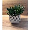 Kimmel Set di 2 vasi rettangolari per orchidee, 11 cm, colore bianco