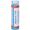 HERING Silicea 80 Granuli 7 Ch Contenitore Multidose 4 g