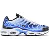 Nike air max plus TN Og - light Fotografia - DZ3531-400 Uomo Sneaker Scarpe