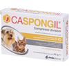 Caspongil 30Cpr Divisibili 30 pz Compresse