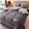 ZTGL Trapunta Invernale Imbottita 2-5kg Piumone Caldo Letto 2 Piazze, Coperta Plaid Sherpa Doppio Strato Morbida Matrimoniale Pile Vellutato MOD,A,220x240cm(5kg)