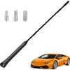 LEIBOCHAO Antenna Radio Auto, Antenna Tetto 23cm Sostituzione Universale per Auto per Tutti i Modelli di Auto,Antenna con Funzione di Ricezione FM/Dab Potente, con Filettatura M4 M5 M6