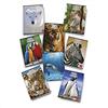 Pigna 02253580A Quaderni A4 Animal World