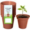 Whitefurze G04012 Set di 10 vasi di Fiori di Terracotta da 7,5 cm