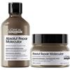 L'Oréal Professionnel L'Oreal Professionnel Paris Serie Expert Absolut Repair Molecular Shampoo 300ml + Maschera 250ml -