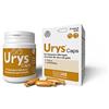 Urys Caps 30 capsule