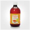 VIVIDUS Srl Papaya Fermentata Vividus 500ml