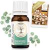 Naturarsi L'essenziale per il tuo beness Naturarsi Olio Essenziale Eucalipto Puro e Naturale per Diffusori x Aromaterapia e Massaggi, 10ml