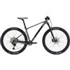 Giant Bicicletta Da Mtb Xtc Slr 1 29´´ Deore Xt M-8100 2022