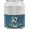 Birrificio artigianale Baladin Gin Tonic