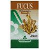 SPECCHIASOL FUCUS 150 Tav.SPECCH.