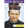 Don Bosco: il sistema preventivo. Maestro per l'educazione