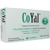 INTERFARMAC COYAL 30CPR 1300MG