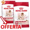 Royal Canin SHN Dog Medium Adult - Offerta [PREZZO A CONFEZIONE] Quantità Minima 2, Sacco Da 15 Kg