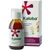 DR.WILLMAR SCHWABE GmbH&CO.KG Kaloba Sciroppo 100 ml